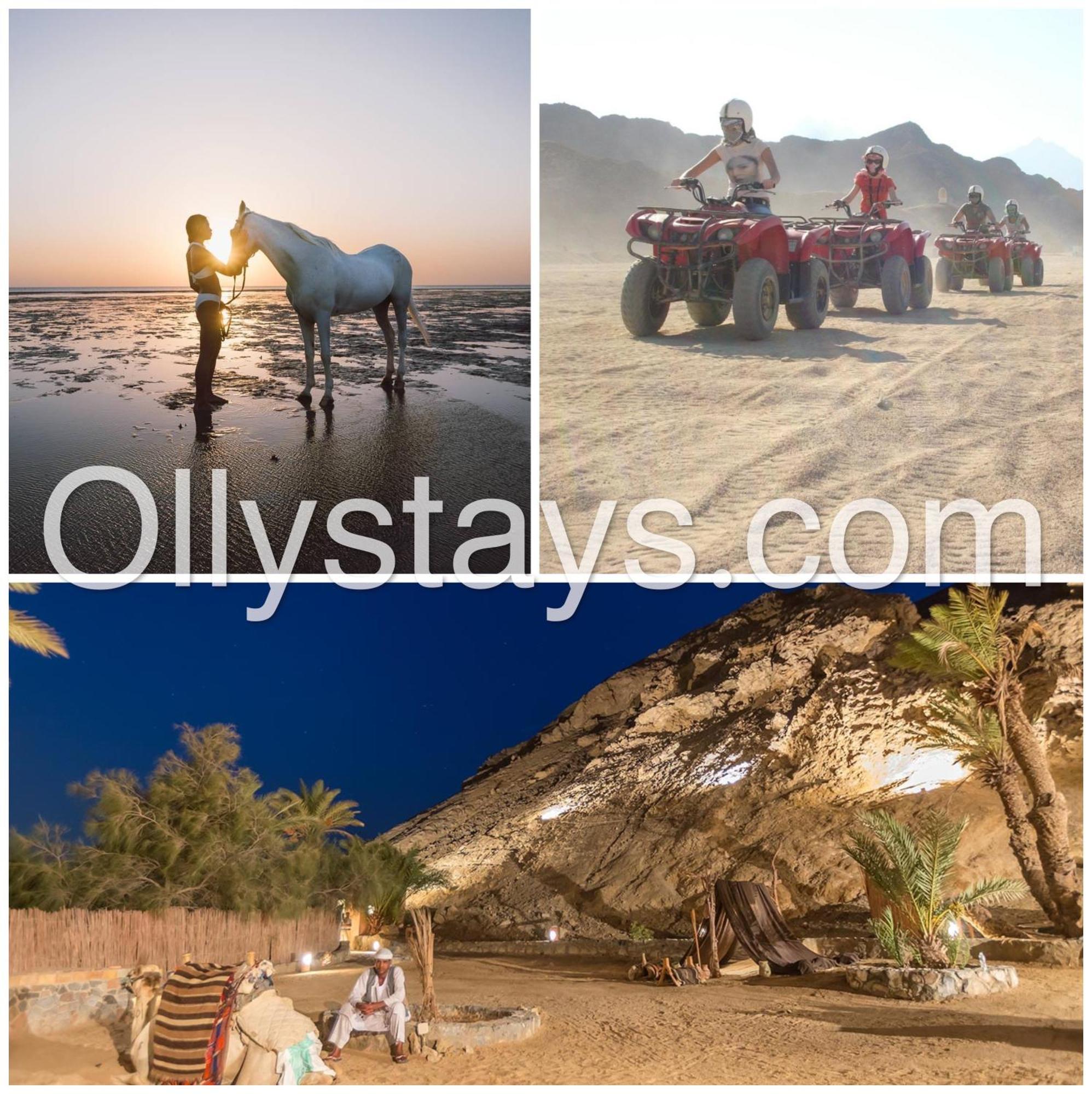 Ollystays Mangroovy Seaview 1Br Beach And Pool Free Access Hurghada Buitenkant foto